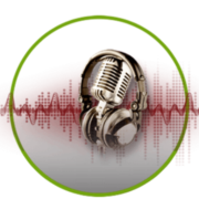 Radio Venezia Sound