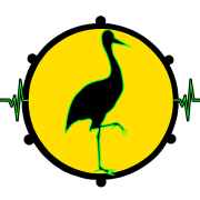 Beatstad Radio