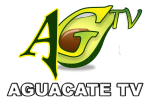 Aguacate Stereo