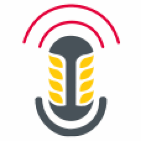 Radio Pela FM 96.8