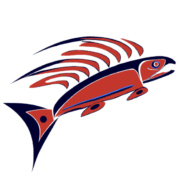 FlyingSalmon Radio