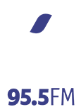 Rádio Mega 95.5 FM 