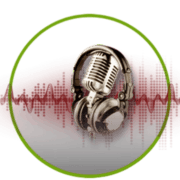 Radio Venezia Sound