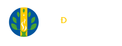 Juan De Castellanos Stereo