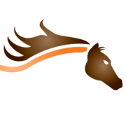 Wild Horse FM 99.7