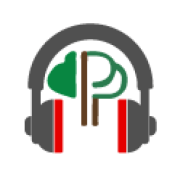 Radio Parque Patricios FM 91.7