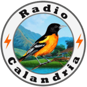 Radio Calandria