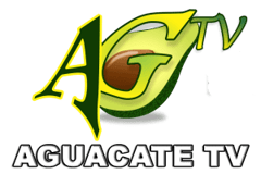 Aguacate Stereo